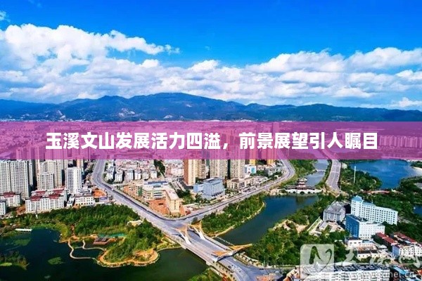 yangchunbaixue 第2页