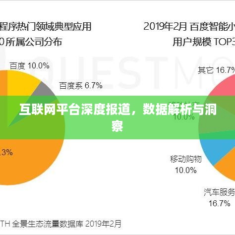 互联网平台深度报道，数据解析与洞察