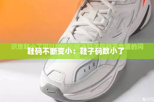 鞋码不断变小：鞋子码数小了 