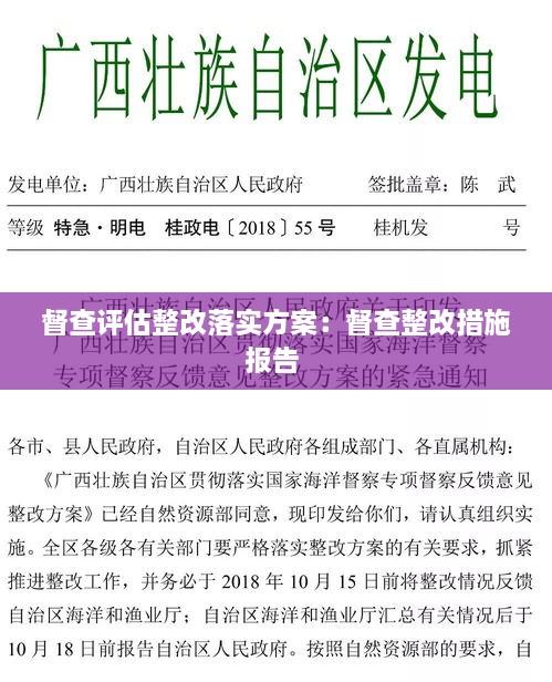 督查评估整改落实方案：督查整改措施报告 