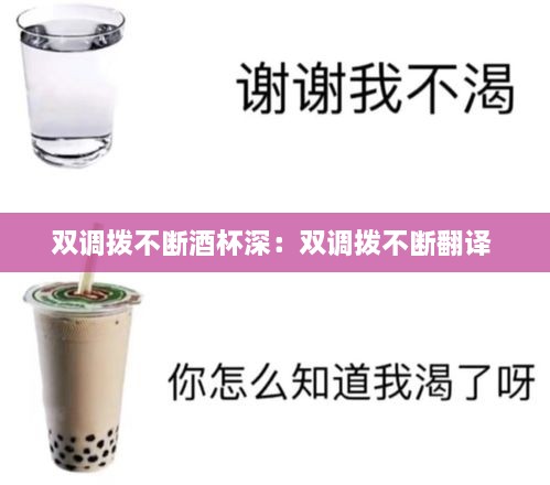 双调拨不断酒杯深：双调拨不断翻译 
