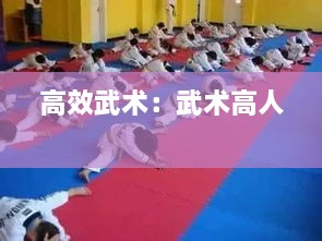 高效武术：武术高人 