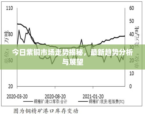今日紫铜市场走势揭秘，最新趋势分析与展望