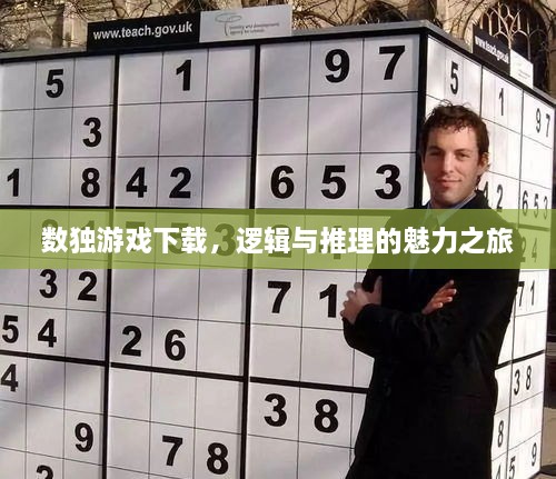 danpiaoloushi 第2页