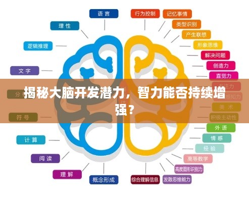 揭秘大脑开发潜力，智力能否持续增强？