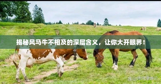 揭秘风马牛不相及的深层含义，让你大开眼界！