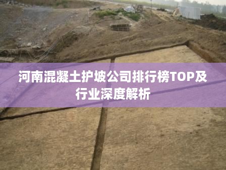 河南混凝土护坡公司排行榜TOP及行业深度解析