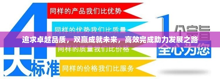 追求卓越品质，双赢成就未来，高效完成助力发展之路