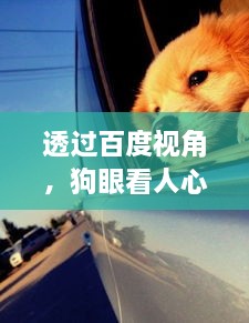 qiguisangong 第2页