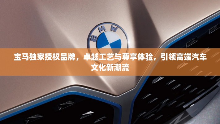 宝马独家授权品牌，卓越工艺与尊享体验，引领高端汽车文化新潮流