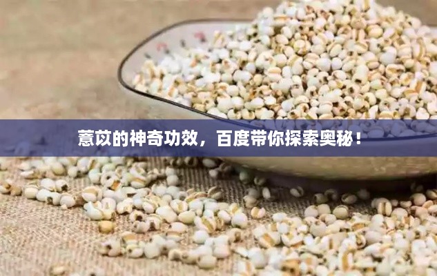 薏苡的神奇功效，百度带你探索奥秘！