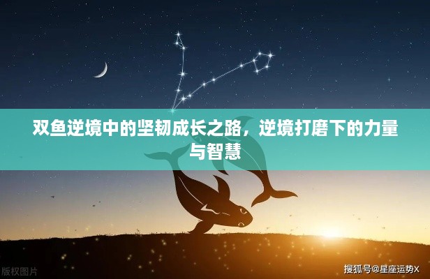 双鱼逆境中的坚韧成长之路，逆境打磨下的力量与智慧