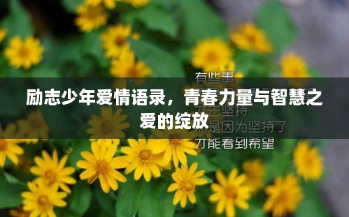 励志少年爱情语录，青春力量与智慧之爱的绽放