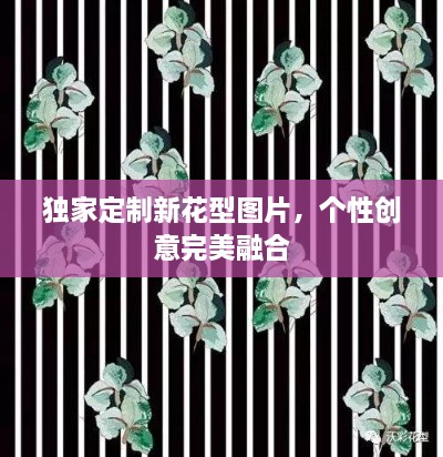 独家定制新花型图片，个性创意完美融合