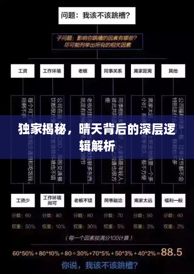 独家揭秘，晴天背后的深层逻辑解析