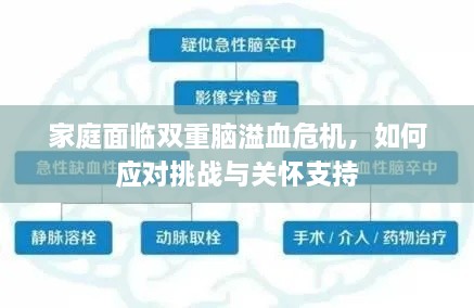 家庭面临双重脑溢血危机，如何应对挑战与关怀支持