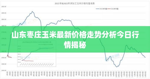 山东枣庄玉米最新价格走势分析今日行情揭秘