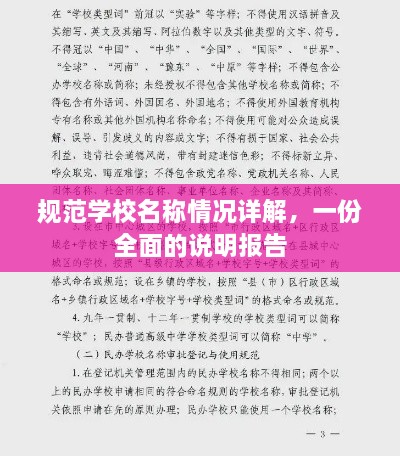 规范学校名称情况详解，一份全面的说明报告