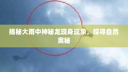 揭秘大雨中神秘龙现身现象，探寻自然奥秘
