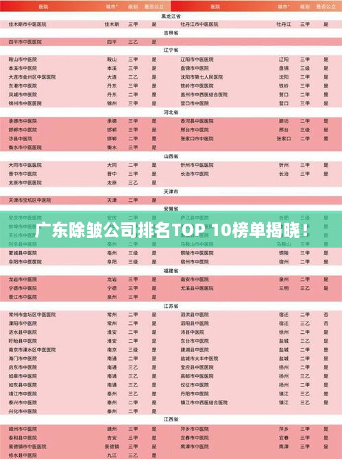 广东除皱公司排名TOP 10榜单揭晓！