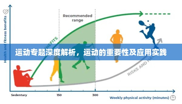 运动专题深度解析，运动的重要性及应用实践