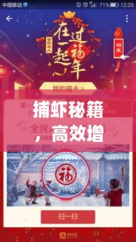 捕虾秘籍，高效增产的实用技巧