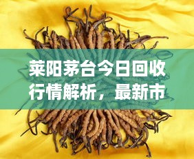 莱阳茅台今日回收行情解析，最新市场动态，专业评估与预测