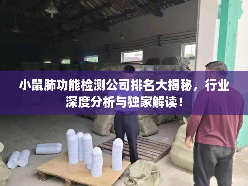 小鼠肺功能检测公司排名大揭秘，行业深度分析与独家解读！