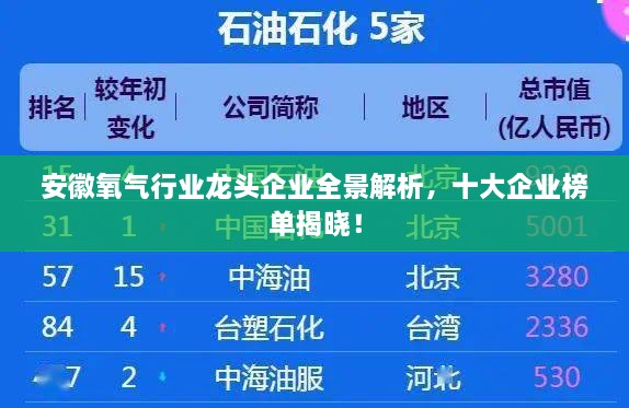 安徽氧气行业龙头企业全景解析，十大企业榜单揭晓！