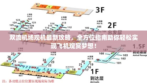 双流机场观机最新攻略，全方位指南助你轻松实现飞机观赏梦想！