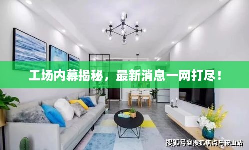 工场内幕揭秘，最新消息一网打尽！