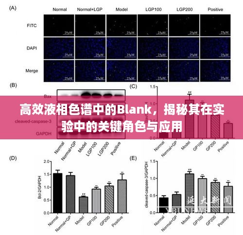 高效液相色谱中的Blank，揭秘其在实验中的关键角色与应用