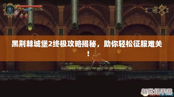 黑荆棘城堡2终极攻略揭秘，助你轻松征服难关！