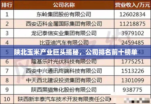 陕北玉米产业巨头揭秘，公司排名前十榜单