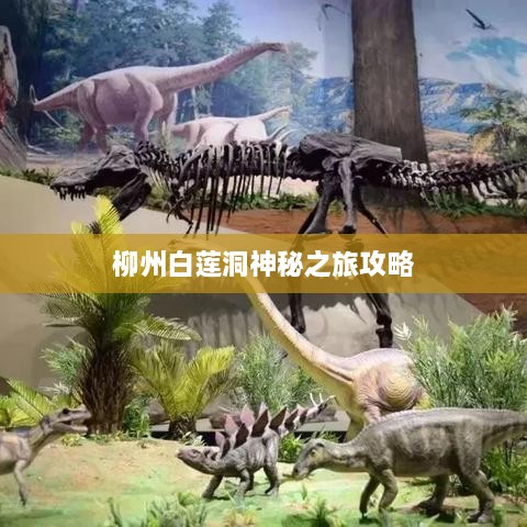 柳州白莲洞神秘之旅攻略