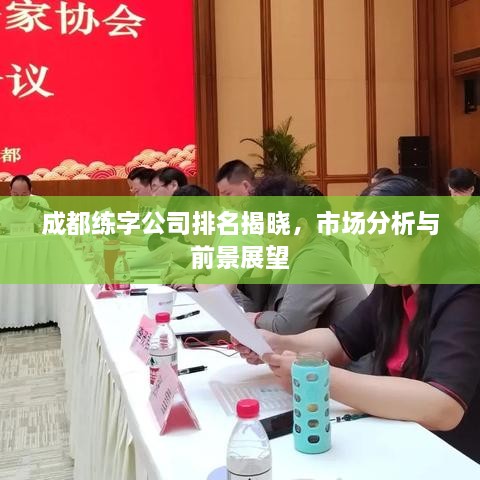 成都练字公司排名揭晓，市场分析与前景展望