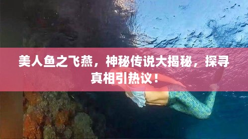 贵戚之卿 第2页