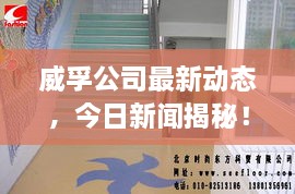 威孚公司最新动态，今日新闻揭秘！