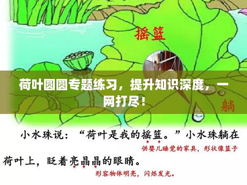 荷叶圆圆专题练习，提升知识深度，一网打尽！