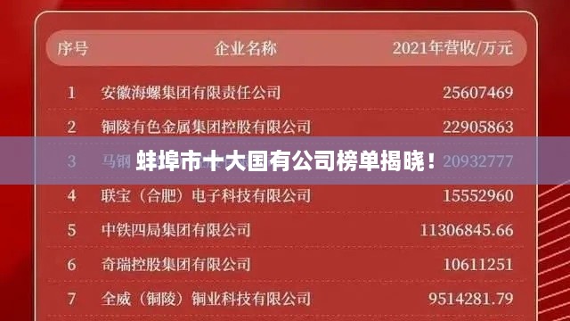 蚌埠市十大国有公司榜单揭晓！