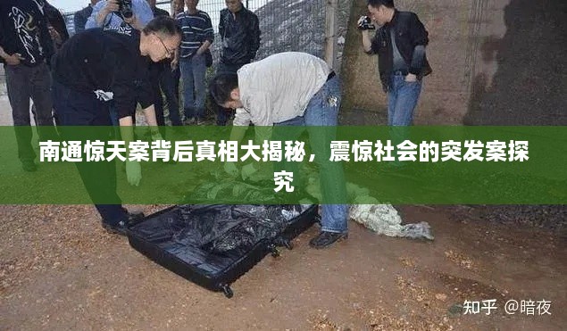 饭来张口 第2页