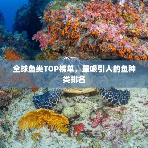 全球鱼类TOP榜单，最吸引人的鱼种类排名