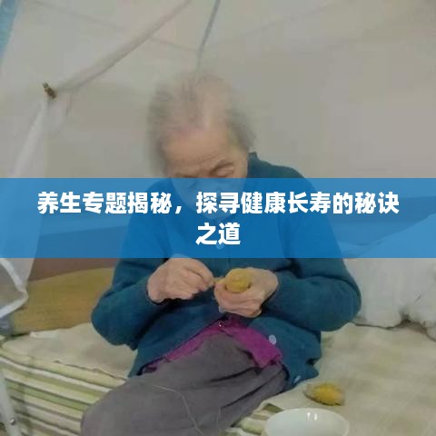 养生专题揭秘，探寻健康长寿的秘诀之道