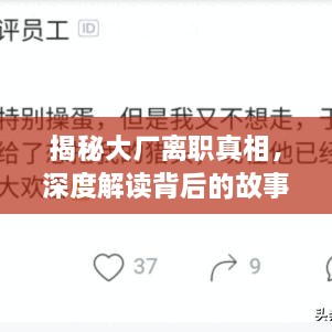 揭秘大厂离职真相，深度解读背后的故事
