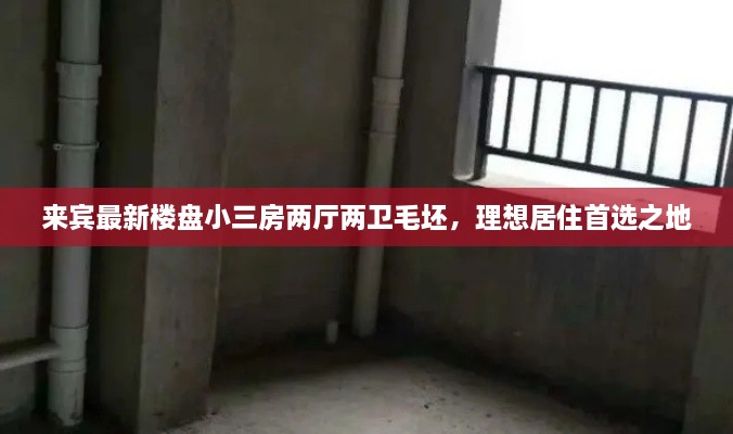 来宾最新楼盘小三房两厅两卫毛坯，理想居住首选之地