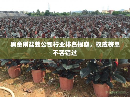 小家碧玉 第2页