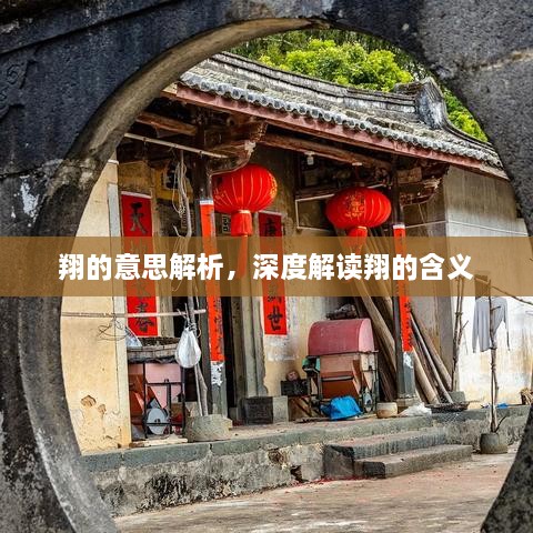 翔的意思解析，深度解读翔的含义