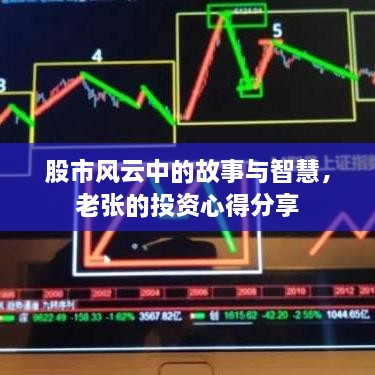 股市风云中的故事与智慧，老张的投资心得分享