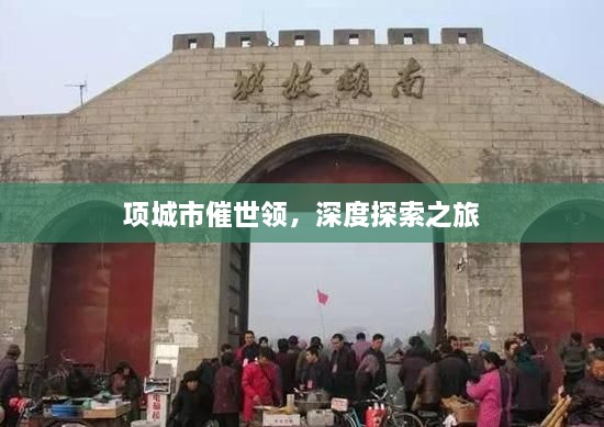 项城市催世领，深度探索之旅