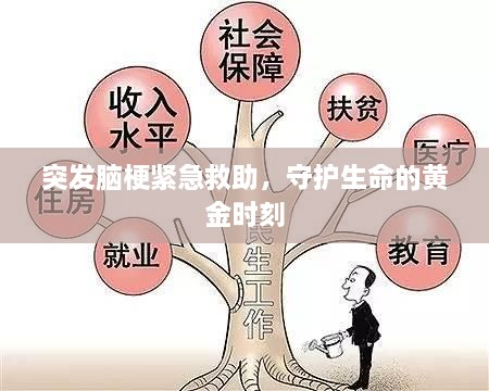突发脑梗紧急救助，守护生命的黄金时刻